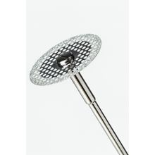 longo-externo-grande