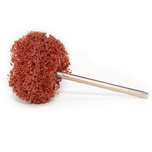 Mini-Escova-para-desgaste-grossa--coraldent